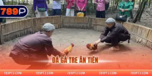 Đá Gà Tre Ăn Tiền - Kinh Nghiệm Cá Cược Bất Bại 2025